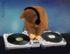 kitten-dj.jpg